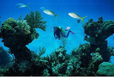 《装甲核心6》新多人战斗视频 展示1v1和3v3模式